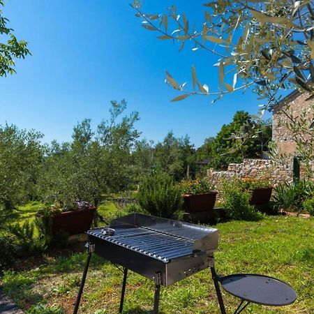 Dvi Ulike Apartment Labinci Exterior photo